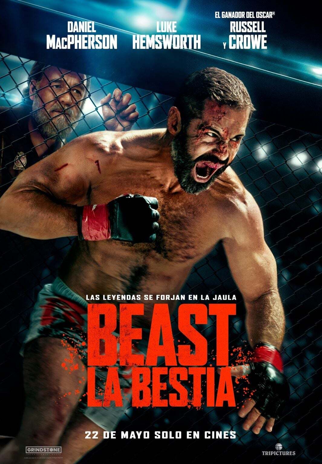 Beast (2026) vj Jingo