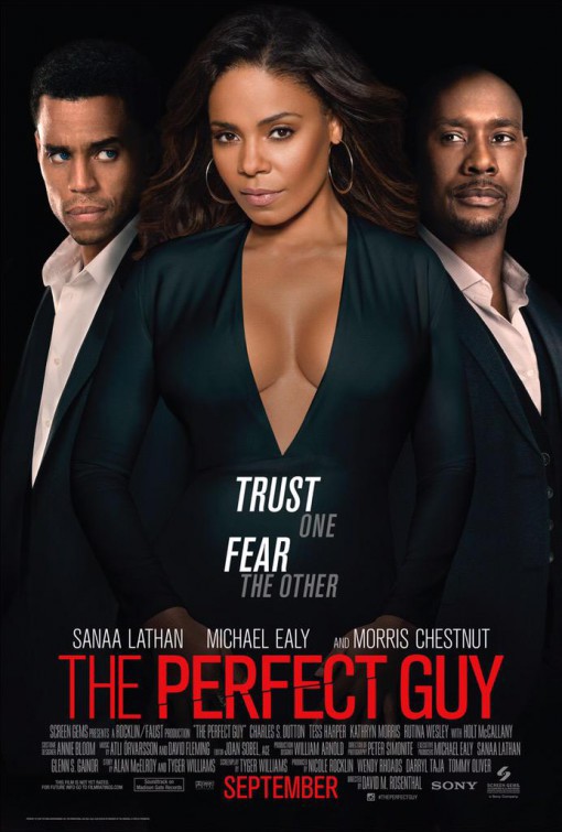The Perfect Guy (2015) vj Junior